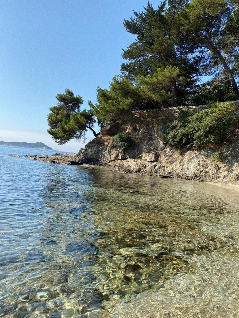 Haut De Villa Entre Mer Et Campagne Hyères Dış mekan fotoğraf